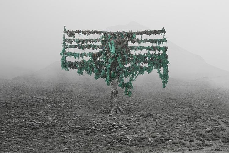 آرتچارت | پیر علم (از پروژه واقع‌نمایی‌ها، فصل پنجم: وساطت الهی) از مهدی مقیم نژاد