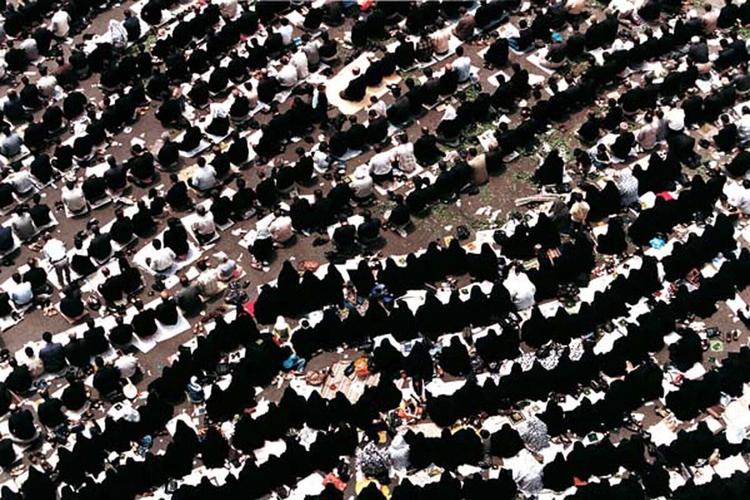 آرتچارت | برگ‎‎‎‎‎‎‎‎‎ها از جمشید بایرامی