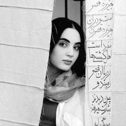 آرتچارت | آثار هنری هنرمند شکیبا معماری