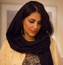 آرتچارت | آثار هنری هنرمند مریم فیروزی